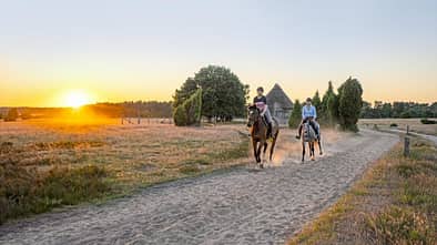 Zwei Reiterinnen in der Lüneburger Heide galoppieren auf einem Sandweg 