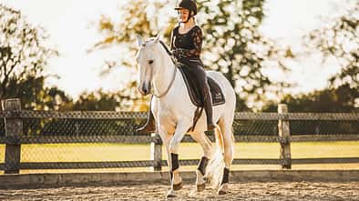 CAVALLO Halsringreiten
