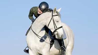 CAVALLO Unsere Pferde sprechen mit uns, wenn sie merken, dass wir sie hören.