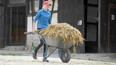 CAVALLO Schubkarren im Test
