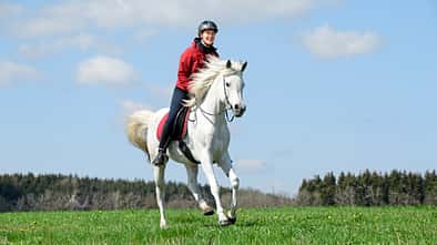 Reiterin mit einem Schimmel auf einer Wiese im Galopp