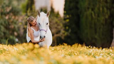 romantisches Pferdemotiv, romantisches Pferdemädchen, Pferd in Blumenfeld, Blondes Mädchen mit Schimmel, Pferd Schimmel Blondes Mädchen mit einem Schimmel in einem gelben Blumenfeld