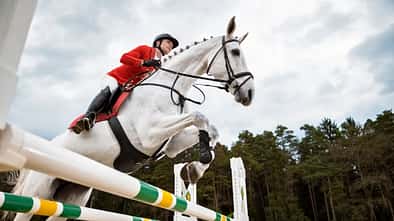 Schimmel mit einem Reiter über dem Sprung aus der Froschperspektive