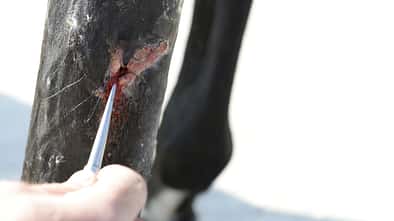 Wunde, Tetanus