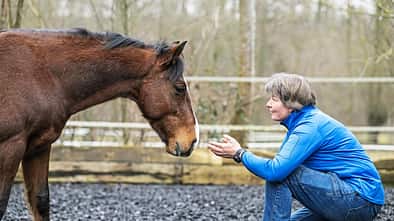 CAVALLO Neustart fürs Problempferd Criollo J.C.