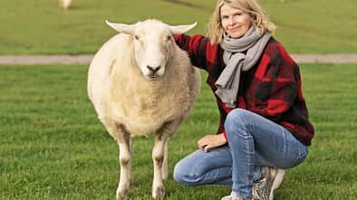 CAVALLO Interview mit Anne Hansen
