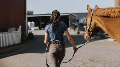 CAVALLO Funktionskleidung CAVALLO Funktionskleidung