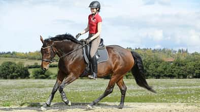 CAVALLO Das hält uns den Rücken frei CAVALLO Das hält uns den Rücken frei