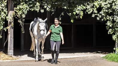 CAVALLO Der Traum vom eigenen Stall