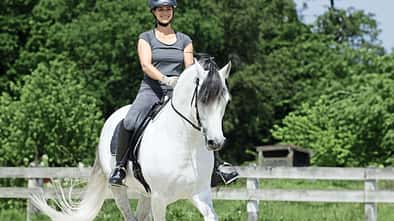 CAVALLO Kampagne #doitride