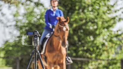 CAVALLO Eine Frage - drei Experten:  Online Unterricht