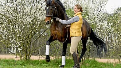 CAVALLO Jedes Pferd kann das Piaffieren lernen