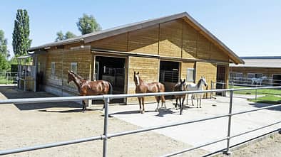 CAVALLO Ergebnisse der Stallbewertungen von BestTUPferd