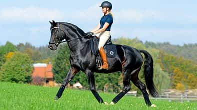 Jessica von Bredow-Werndl, Dressur, Dressurreiten Jessica von Bredow-Werndl mit Unee