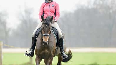 CAVALLO Wie Sie Ihre Mitte im Sattel finden und in allen Lagen im Lot bleiben