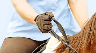 CAVALLO Innerer Zuegel, innere Hand, Hand hält Zügel