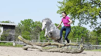 CAVALLO Ponypower, Pony springt mit Frau über Baumstamm