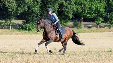 CAVALLO Spiel mit Energie-Kicks und Gelassenheit, Reiter auf Stoppelfeld