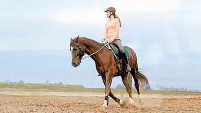 CAVALLO Kreativ kringeln, die Volte, Reiterin reitet Volte