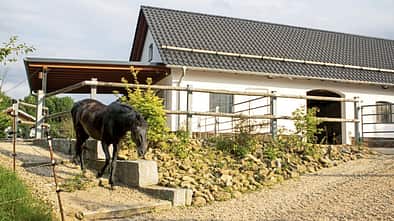 CAVALLO Der Traum vom eigenen Stall, Stallgebäude ist ein Neubau, schwarzes Pferde draußen davor