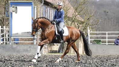Uta Gräf mit einem braunen Pferd beim Training auf dem heimischen Reitplatz