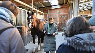 Dr. Miriam Baumgartner demonstriert die Anwendung des BestTUPferd-Tools an einem Pferd