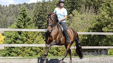 Dressur ohne Druck, feine Hilfen, klassische Dressur, Brigitte Lenz Eine Reiterin mit einem braunen Pferd auf dem Reitplatz im Galopp