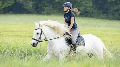Eine junge Frau hat Spaß auf ihrem Schimmel im Galopp durchs Feld.