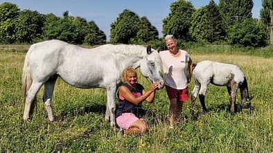 Stall und Umland der Reitanlage in Fehrbellin OT Wall.