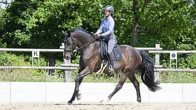 Eine Reiterin ist mit ihrem Pferd beim Dressurtraining im Flow.