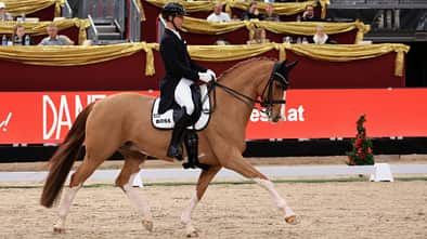 Benjamin Werndl in Salzburg mit Quick Decision im Dressurviereck