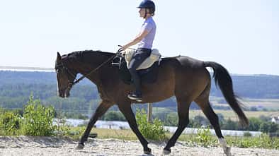 Die Reiterin sitzt ohne Steigbügel aus.