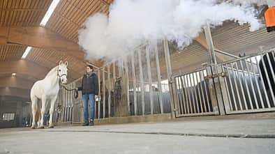 Verzieht sich der Nebel schnell, spricht das für einen guten Luftaustausch