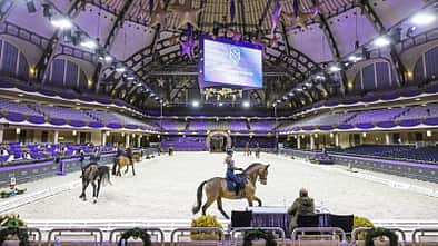 Vogelperspektive auf Dressurtraining in der Frankfurter Festhalle