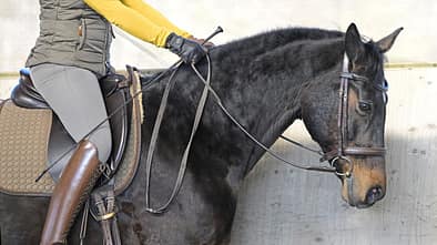 Die Reiterin gibt die Hände vor.
