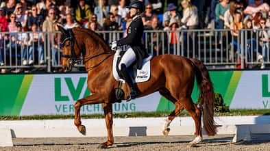 Katharina Hemmer, Horses and Dreams, Hof Kasselmann, Dressur, Dressursport, Fuchs, Dressurviereck, Dressurreiten, Dressurpferd Katharina Hemmer bei Horses & Dreams zum Nationenpreis: Der Hof Kasselmann in Hagen a.T.W. wird im WM-Jahr gleich zweimal zu einem wichtigen internationalen Treffpunkt des Dressursports.