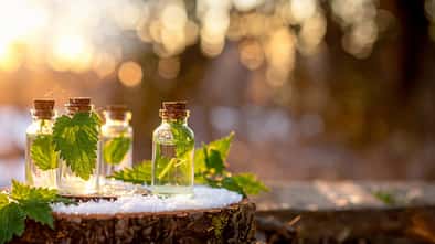 Apotheker-Fläschchen mit Brennnessel-Blättern vor winterlichem Hintergrund