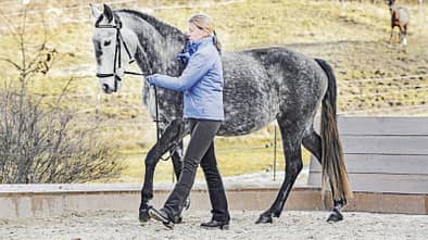 Barbara demonstriert Dressur an der Hand mit einem kleinen Schimmel, der neben ihr herläuft
