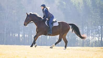 Ein froscher Galopp in der Natur macht Spaß.