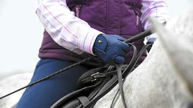 Nahaufnahme auf die Reiterhand mit Gertenführung