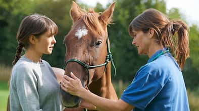 Eine Tierärztin untersucht das Pferd einer Frau auf der Weide