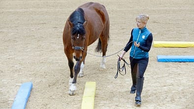 Equikinetic ist ein effektives Muskel-Aufbau-Programm