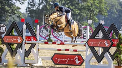 Deutscher Reitponys sind sportlich und vielseitig 