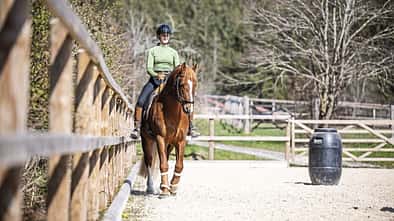 Stefanie Seebauer im Schulterherein mit ihrem Pferd an der langen Seite des Reitplatzes