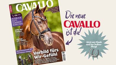 Collage CAVALLO Cover August-Ausgabe 2026