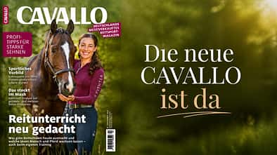 Der CAVALLO-Titel im September 2026