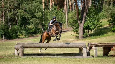 Das Foto zeigt eine Reiterin in der Disziplin Vielseitigkeit, die mit ihrem Pferd auf einer Geländestrecke ein Baumstammhindernis überspringt. Sichtbar sind Reithelm und Sicherheitsweste, das Naturhindernis aus Rundhölzern sowie die offene Wiesen- und Waldumgebung eines Cross‑Country-Parcours.
