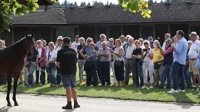 Besucher auf einem Gestüt bei der Exterieur-Beurteilung eines Pferds, das vor ihnen steht und von einem Mitarbeiter gehalten wird.