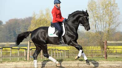 Zulegen im Galopp
