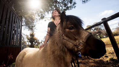 Im Vordergrund ist ein Pony zu sehen, dass von einer lachenden Frau im Hintergrund gerade am Rücken gestreichelt wird. 
